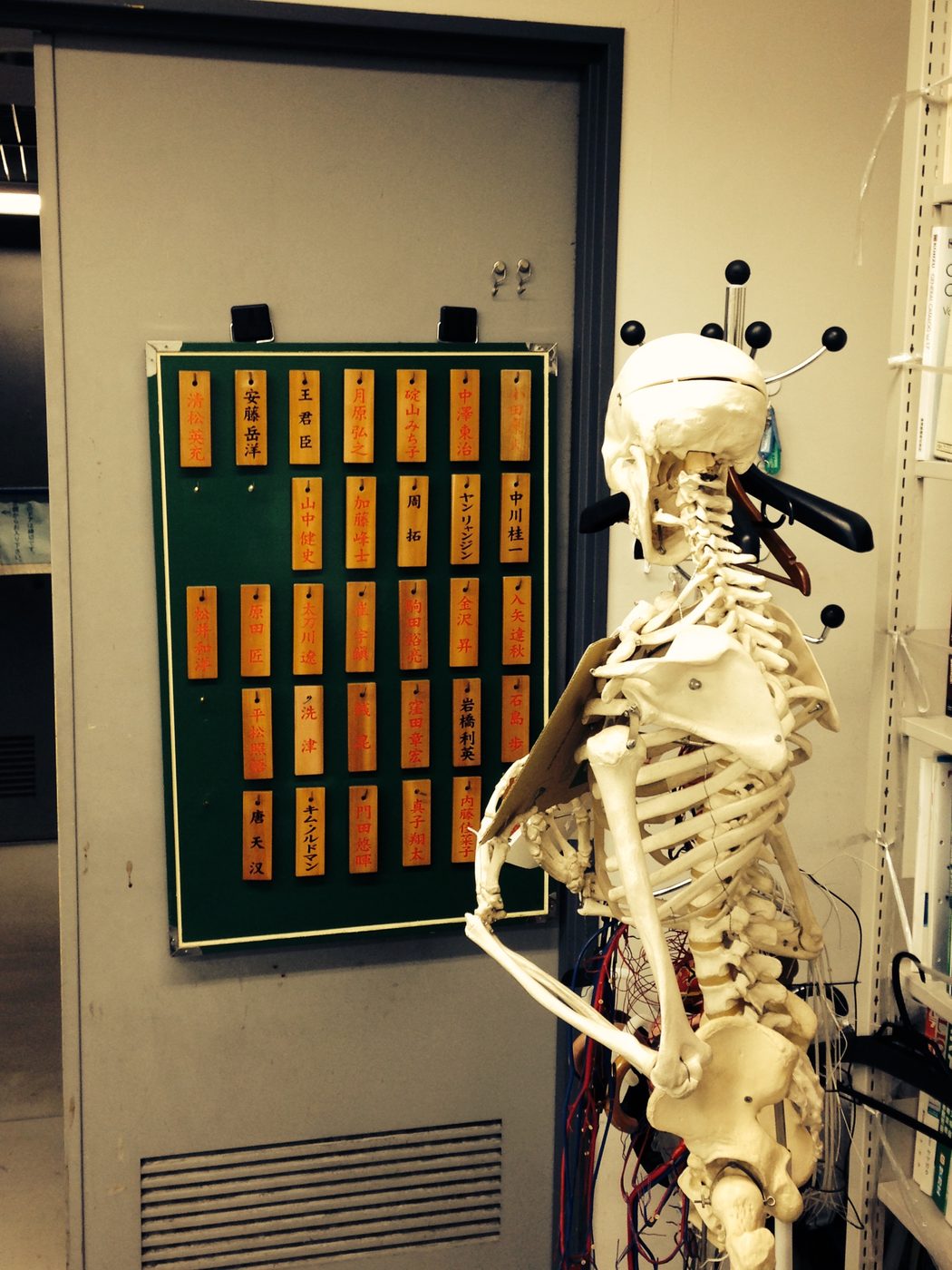 BMPE Lab, M1 year